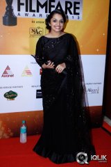 61st Filmfare Awards 2013